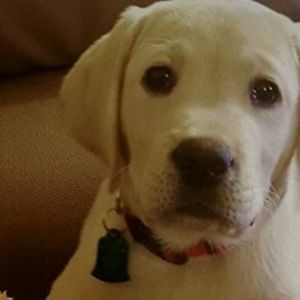 Meet your Posher, Junney